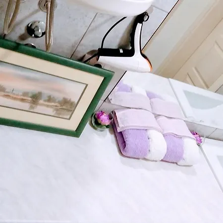 With Garage Нови-Сад