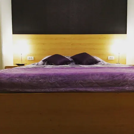 アパート With Garage ノヴィ・サド